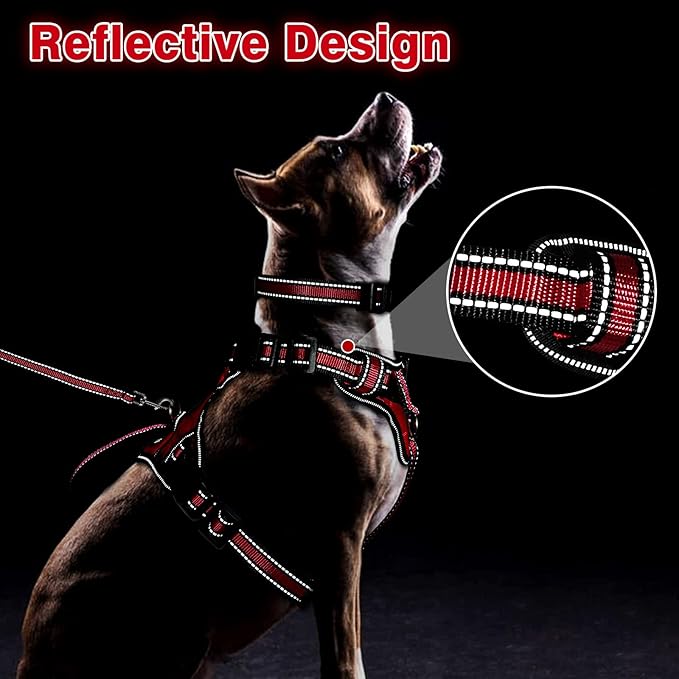 WINSEE Pet Harness Collar and Leash Set, All-in-one Reflective Dog Harness No Pull with Adjustable Buckles for Puppies, Small, Medium, Large, and Extra-Large Dogs (Small, Red)