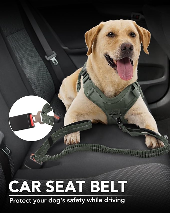 Joytale Tactical Dog Leash Heavy Duty, 4-6FT Shock Absorbing Bungee Lead with 2 Padded Handle, Metal Carabiner Clip, Car Seatbelt, Strong No Pull Leash for Medium Large X-Large Dogs, Army Green