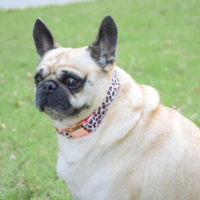 Metal Buckle Dog Collar, Durable Adjustable Dog Collar Soft for Small Medium Large Dogs (M(13-18in), Pink Leopard)