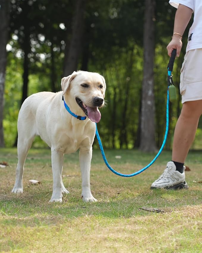 Joytale Reflective Dog Leash, Heavy Duty Nylon Rope with Poop Bag Holder, Highly Reflective Threads Leashes for Medium Large Dogs, SkyBlue, 6'×1/2''