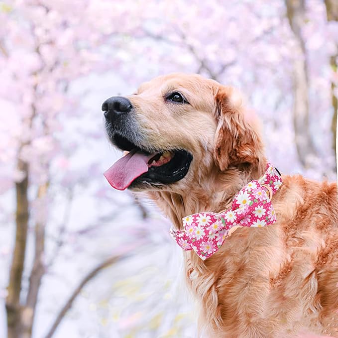 Elegant Little Tail Pink Floral Girl Dog Collar with Bow - Adjustable X-Small Puppy Collar Gift