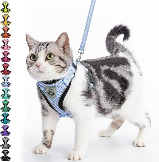 PUPTECK Cat Harness and Leash Set Escape Proof Reflective Cat Walking Harness Adjustable Soft Breathable Mesh Vest for Small Pets, Sky Blue, S