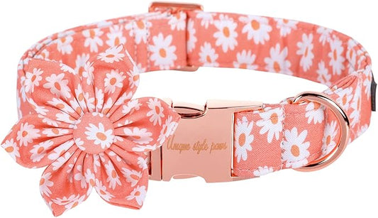 Unique style paws Dog Collar with Flower Tie Pink Daisy Summer Dog Collar for Small Medium Large Dogs with Adjustable Metal Buckle -M