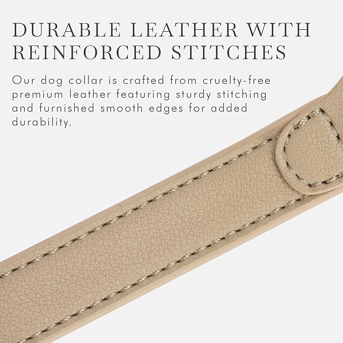 Cupertino Dog Collars, Harnesses & Leashes Made from Vegan Leather with Dog Tracker Device Holder Adjustable Dog Collar (Small, Beige)