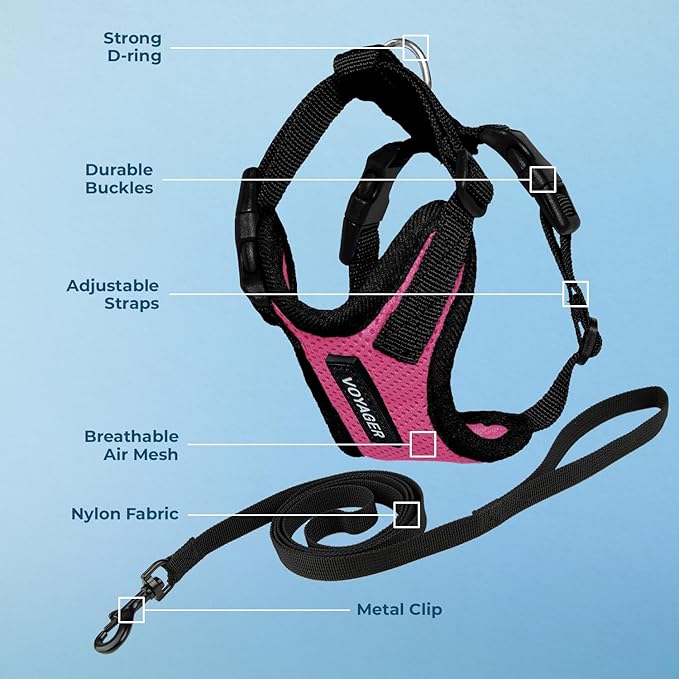 Voyager Step-in Lock Adjustable Cat Harness w. Cat Leash Combo Set with Neoprene Handle 5ft - Supports Small, Medium and Large Breed Cats by Best Pet Supplies - Fuchsia/Black Trim, XXS