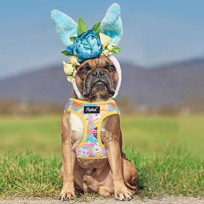 PUPTECK Dog Harness and Leash Set for Small Medium Dogs No Pull Step-in Soft Mesh Puppy Cat Vest Harnesses Reflective at Night, Easter Light Yellow, M