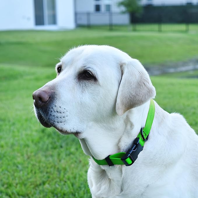 Dogline Biothane Waterproof Dog Collar with Quick Release Buckle Strong Coated Nylon Webbing with Odor- Proof for Easy Care Easy to Clean Fits Small Medium Large Dogs, Lime Green 5/8" W 9-14" L