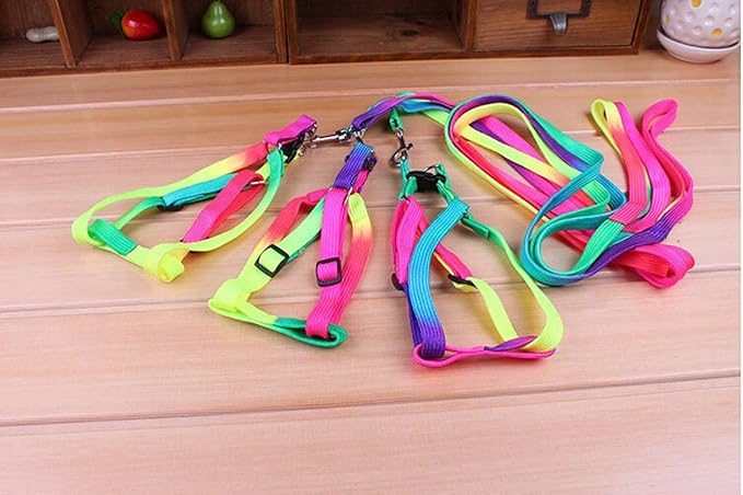 Hypeety Pet Bird Harness and Leash with Buckle Adorable Rainbow Design Safe Parrot Leash Pet Harness Outdoor Adjustable Anti Bite Training Rope for Macaw Large Size Bird (1cm × 47.24in)