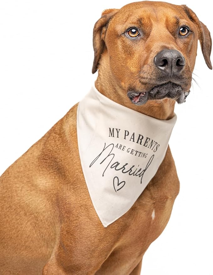 My Parents are Getting Married | 100% Cotton Adjustable Triangle | Engagement Announcement Photoshoot Prop | Bridal Shower Gift | Made in USA | White One Size (648) GB