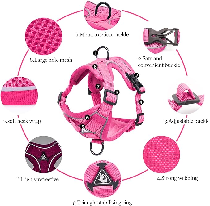 Summer cat Chest Harness and Leash, Anti-Escape Adjustable Soft mesh cat Leash and Chest Harness Set for All Types of Cats cat Vests (Rose red, XL)