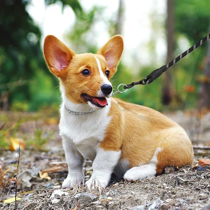 TagME Chain Choke Collar for Dogs, Adjustable Weather Proof Necklace for Small Dogs, Alloy Steel Pet Training Collar