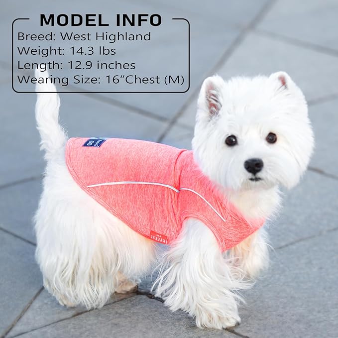 KYEESE Dog Shirt Sports Athletic Breathable Dog T-Shirt with Reflective Strip Tank Top Summer Stretchy Sleeveless Vest Puppy Shirt, Rose Red, S