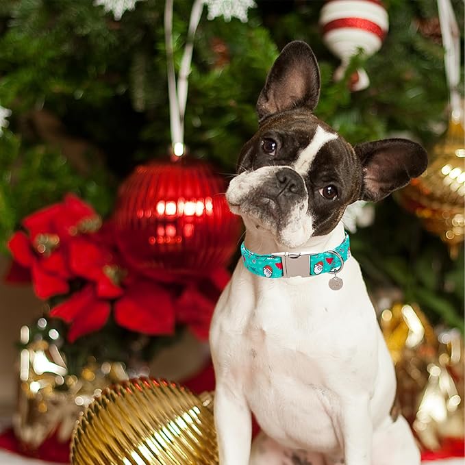 Christmas Dog Collar, Christmas Collar for Puppy Girl Boy Dog or Cat, Holiday Dog Collar with Durable Metal Buckle, Cute Pet Collar,XL