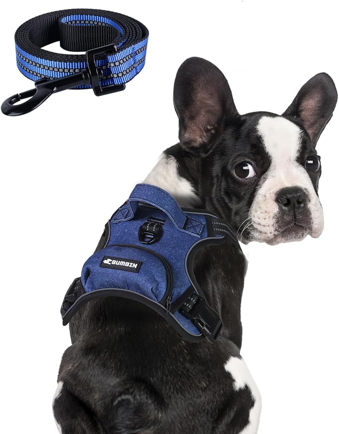 BUMBIN Dog Harness for Large Dogs, No Pull Adjustable No Choke Pet Vest with Dog Leash Fit Smart Reflective Pet Walking Harness for Training Easy Control Soft Handle Denim Blue XL