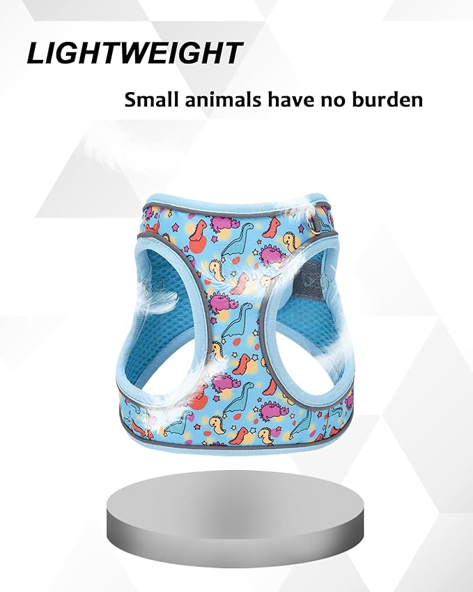 XXS Blue Dinosaur Pattern Dog Harness and Leash Set,No Escape Puppy Harnesses for Training Walking,Breathable Adjustable Puppy Vest for Small Medium Dogs, Cats (Blue, XXS)