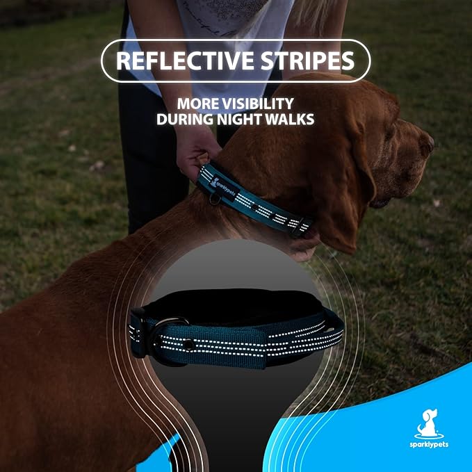 SparklyPets Heavy Duty Dog Collar with Handle for Medium and Large Dogs – Professional Collar with Reflective Stitches, Soft Handle & Nickel-Plated Buckle (Large (18"~22"), Blue)