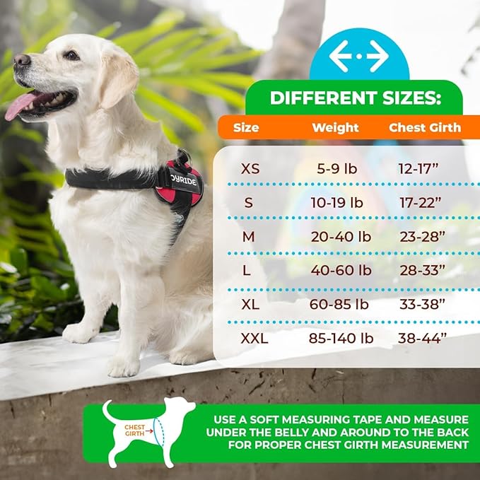 Joyride Harness LED Light Up Dog Harness 2.0 - Patent Pending Design, 3 LED Modes, Vibrant Rechargeable Lighting, Customizable Name Tag Area, and Convenient On/Off Button for Enhanced Pet Safety