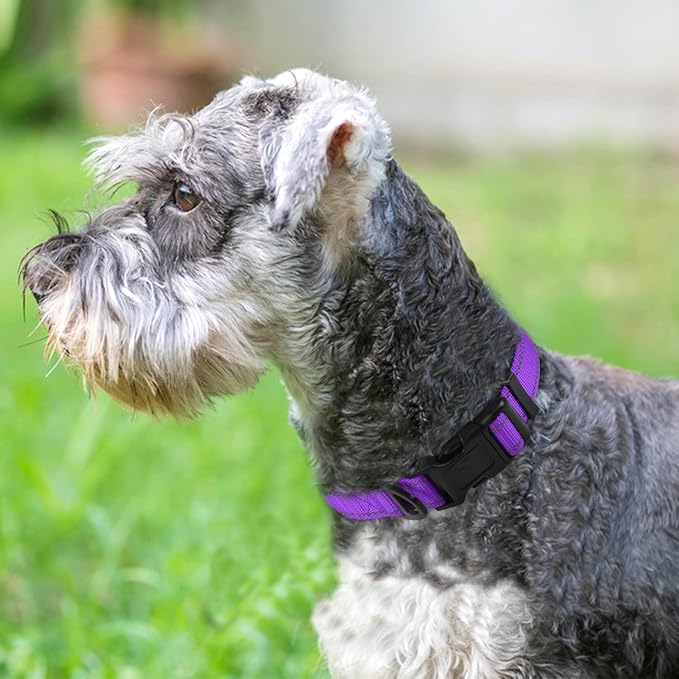 Joytale Reflective Dog Collar,Soft Neoprene Padded Breathable Nylon Pet Collar Adjustable for Medium Dogs,Purple,M