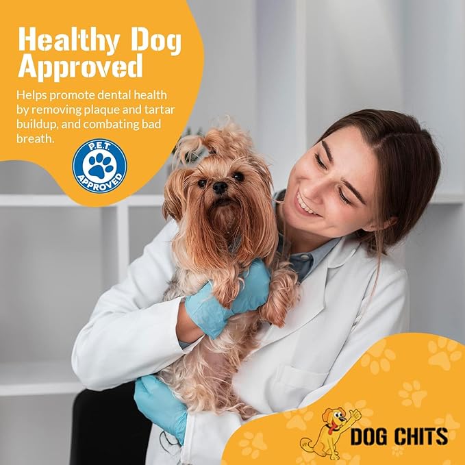 Dog Chits Lamb Ears for Dogs - Dog and Puppy Chews | 15 Pack | Made in USA | All Natural Treats | Boiled and Baked with Nothing Added | Long Lasting Chew | Great for Dental Health | Low Odor