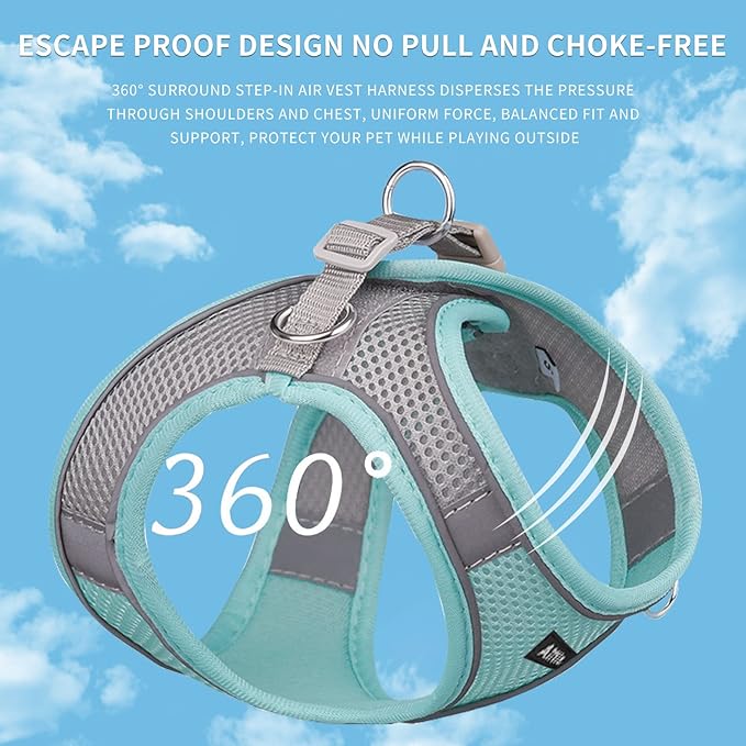 AIITLE No Pull Dog Harness and Leash Set, Step in Adjustable Dog Harness with Padded Vest for All Weather, Dog Leash with Soft Padded Handle, Easy to Put on Small and Medium Dogs Turquoise S