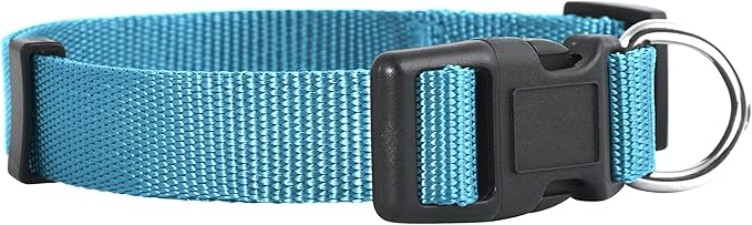 Native Pup Basic Nylon Dog Collar, Adjustable for Small, Medium, Large pet and Puppies Accessories, Cute Colors for Male, Female, boy, Girl, Puppy (Medium, Turquoise)