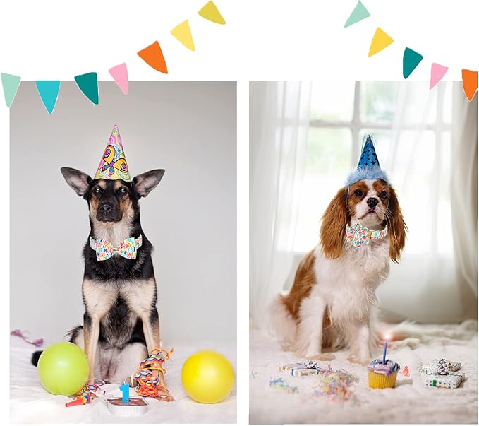 Unqiue Style Paws Birthday Dog Collar, Soft and Cute Dog Bow Tie, Durable Pet Collar with Bow Adjustable Dog Collar for X-Small Puppy
