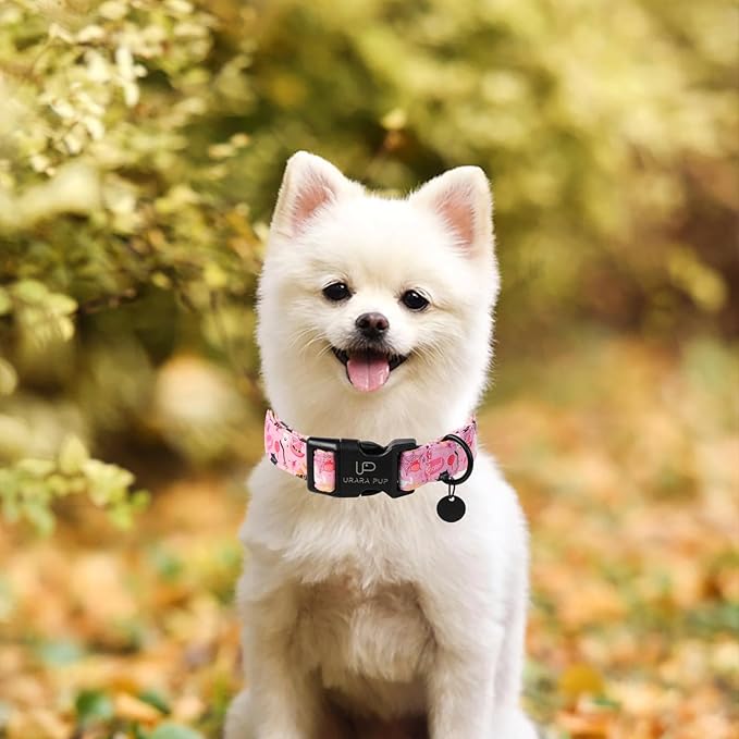 Halloween Dog Collar, Autumn Cotton Collar for Boys or Girls Dogs, Cute Pink Comfortable Pet Collar with Lightweight & Adjustable Plastic Buckle,Suitable for Small,Large Dogs