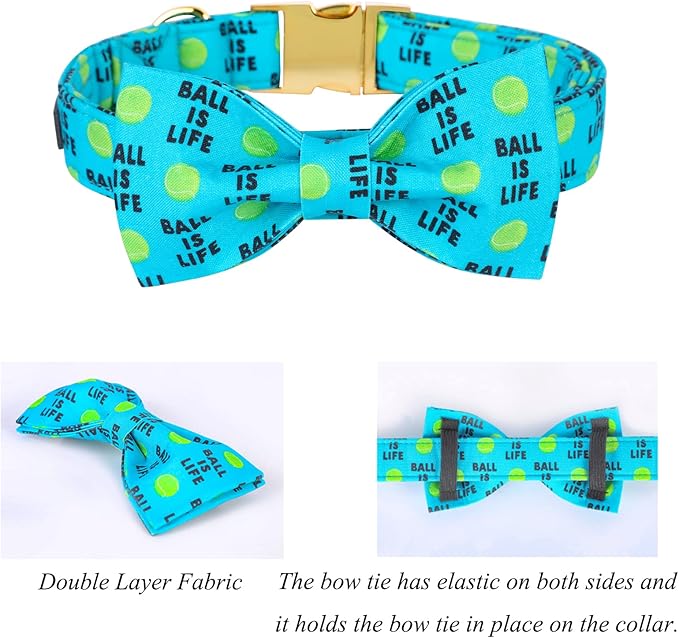 Lionet Paws Dog Collar with Bowtie - Cute Cotton Bowtie Dog Collar with Metal Buckle for Small Dog Girl Boy, S, Neck 10-16in