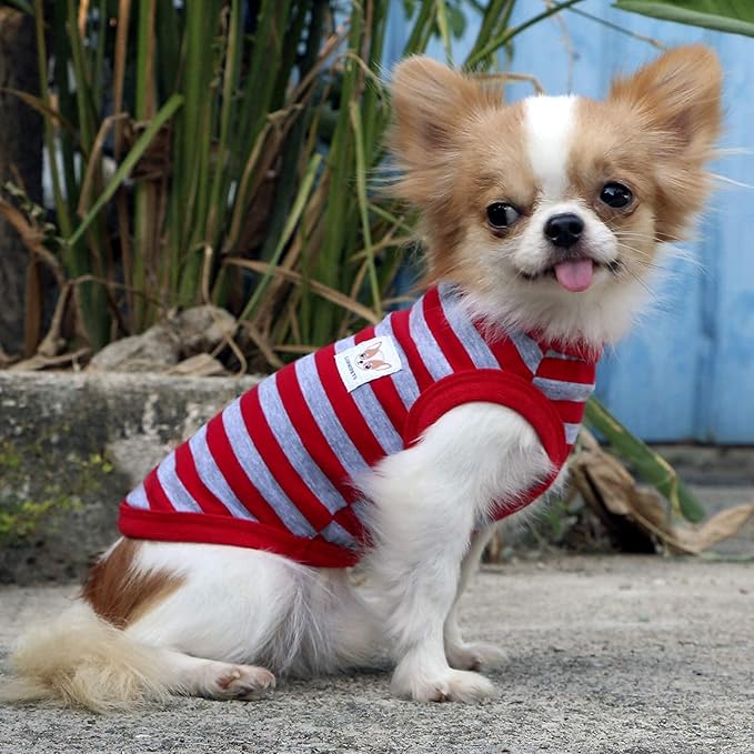 LOPHIPETS 100% Cotton Striped Dog Shirts for Small Dogs Chihuahua Puppy Clothes Tank Vest-Red and Gray Strips/XL
