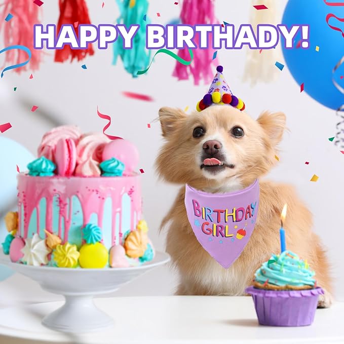 PUPTECK Dog Birthday Bandana Scarf with Cute Doggy Party Hat, Costume Decorations Supplies for Small Medium Large Dogs Boy Girl Outfit Gifts, Purple