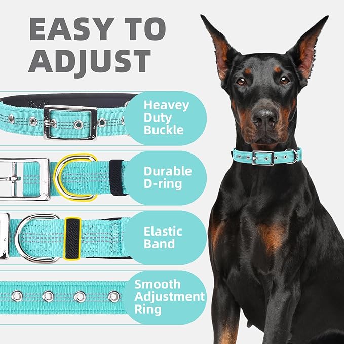 PUPTECK Heavy Duty Dog Collar with Handle Bungee for Small Medium Large Dogs, Tactical Dog Training Collar for Easy Control, Reflective Padded Dog Collars for Walking Running, Turquoise, S