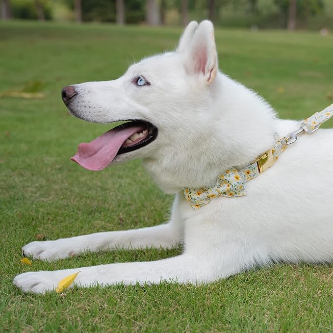 Tunkoo Dog Collar Floral with Elegant Bow Tie Soft Comfy Cotton Adjustable Collar, Premium Metal Buckle for Puppy and Cat Small Medium Large(Daisy Flowers,M)