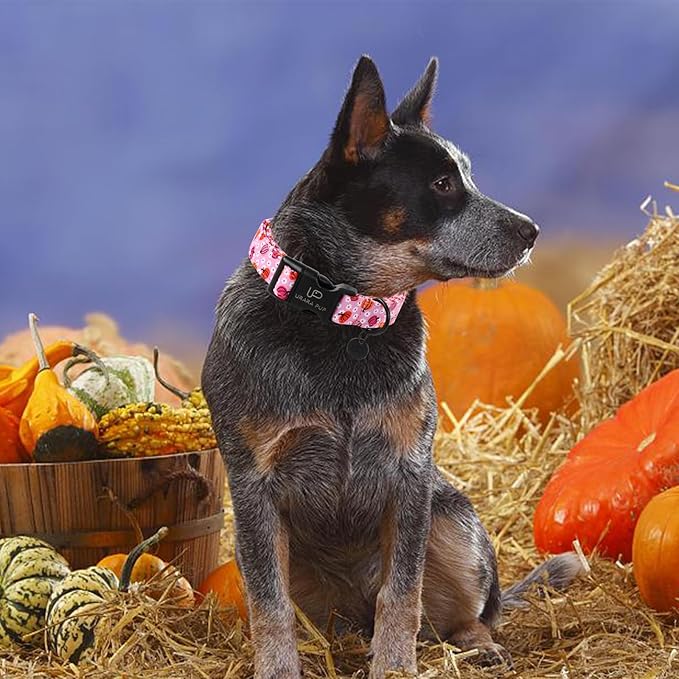 Halloween Pumpkin Dog Collar,Lightweight Pink Halloween Puppy Collar with Plastic Buckle,Fancy for Dogs,Suitable for Small Medium Large Girl or Boy Dogs