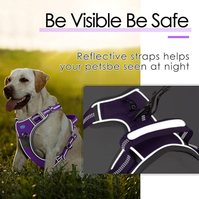 ThinkPet No Pull Harness Set Breathable Sport Harness with Handle - Reflective Padded Dog Safety Vest with Reflective Neon Dog Leash XL Harness Leash Pack Purple