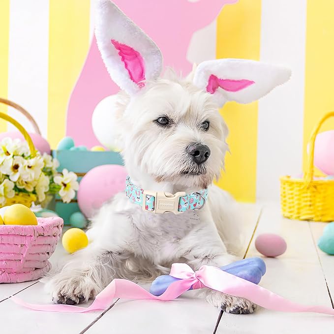 DOGWONG Easter Dog Collar, Blue Bunny Egg Dog Collar Soft Durable Adjustable Costume Cute Rabbit Easter Puppy Collar for Small Medium Large Dog