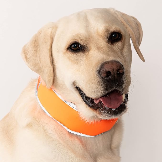 Hi-Vis Dog Cooling Collar - Orange Reflective Re-Freezable Ice Collar (Large)