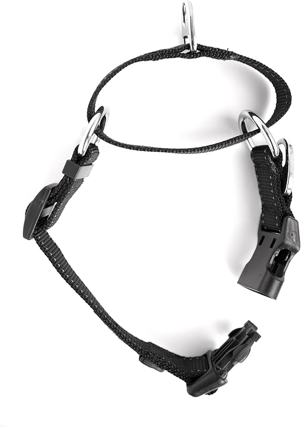 Mighty Paw Martingale Nylon Training Collar - Martingale Collar Dog - Limited Slip Design for Controlled Training - Reflective Stitching for Safety - Black Collars - Medium Size