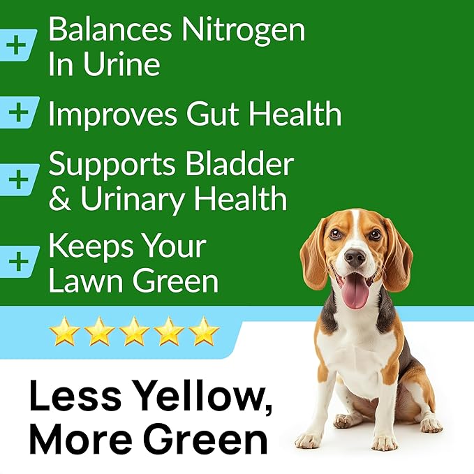 Green Grass Dog Chews w/Probiotics - Prevent Urine Burning Grass - Dog Pee Grass Spot Saver - Dog Urine Neutralizer for Lawn Treats, UT & Gut Health for Dogs, Lawn Burn from Dog Urine