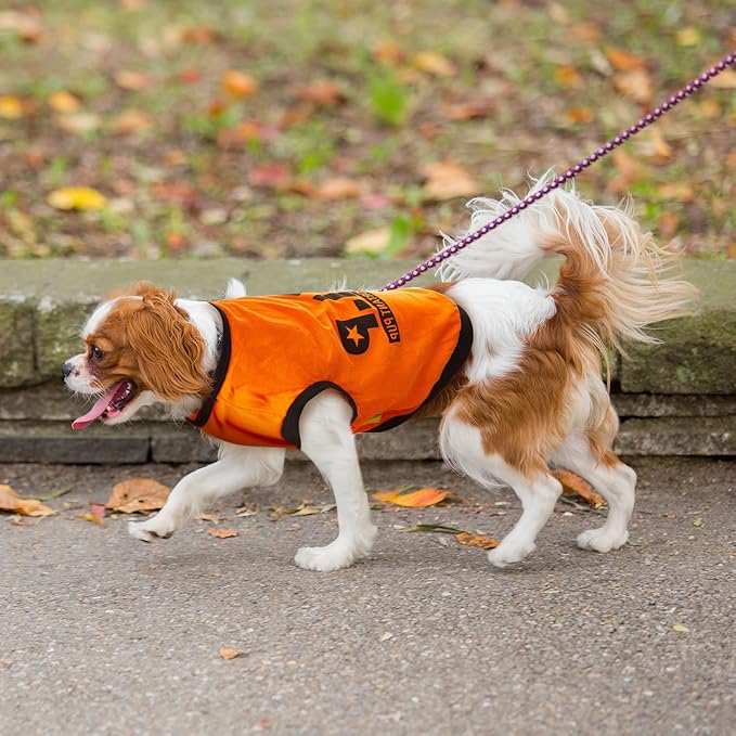 8 Pieces Dog Shirts Boy Funny Printed Puppy Clothes Summer Male Soft Dog Clothes Breathable Pet T Shirts Outfits Puppy Clothing Fit for Small and Medium Dogs(Large)