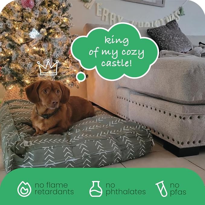 Molly Mutt Medium to Large Dog Bed Cover- Forever Young Print - Measures 27”X36”X5’’ - 100% Cotton - Durable - Breathable - Sustainable - Machine Washable Dog Bed Cover (Dd82b)