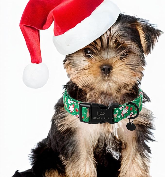 Christmas Santa Claus Dog Collar, Cute Christmas Elk Collar for Puppy Girl Boy Dog, Adjustable Christmas Green Dog Collar for Small Medium Large Dogs
