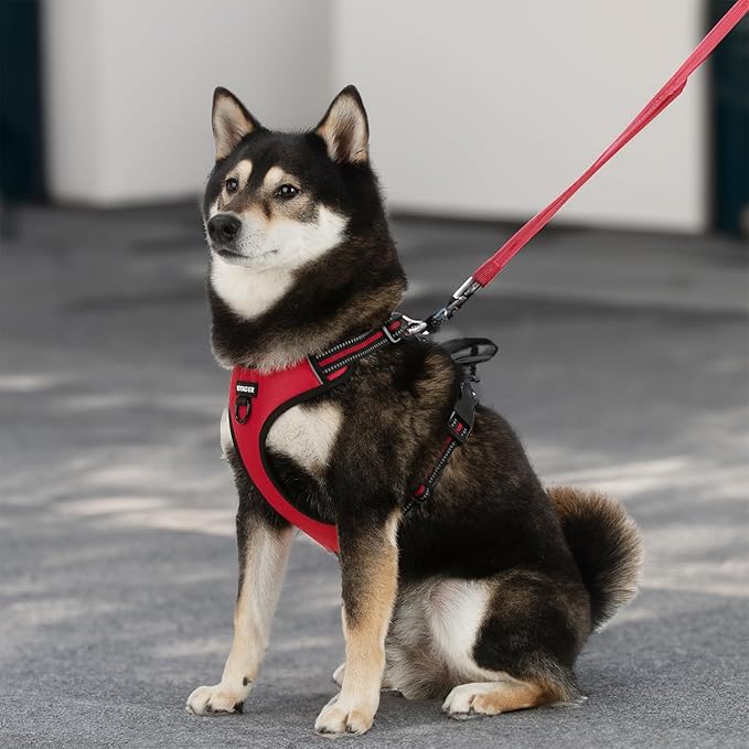 Dog Harness Dual Leash Attachment No-Pull Control Adjustable Soft but Strong Pet Harness for Medium and Large Dogs with 3M Reflective Technology - Harness Leash Set (Red Lattice), M