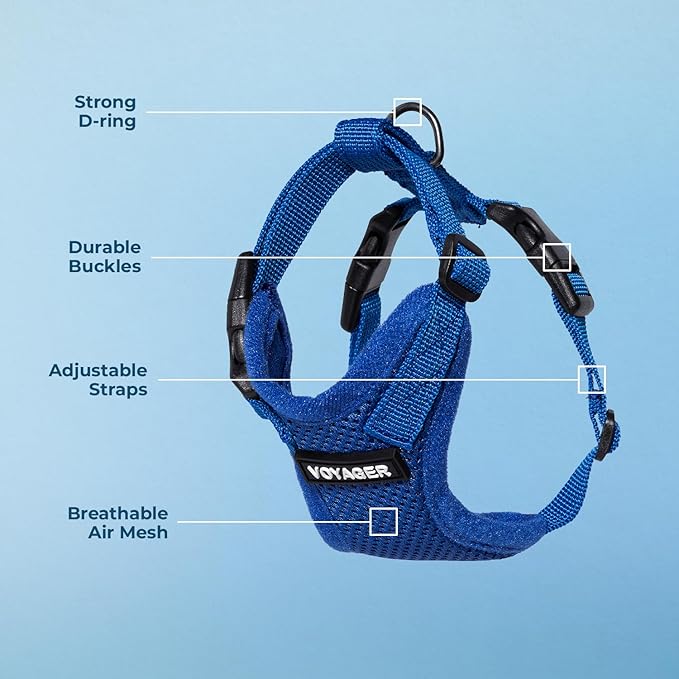 Voyager Step-in Lock Adjustable Cat Harness w. Cat Leash Combo Set with Neoprene Handle 5ft - Supports Small, Medium and Large Breed Cats by Best Pet Supplies - Royal Blue, XS