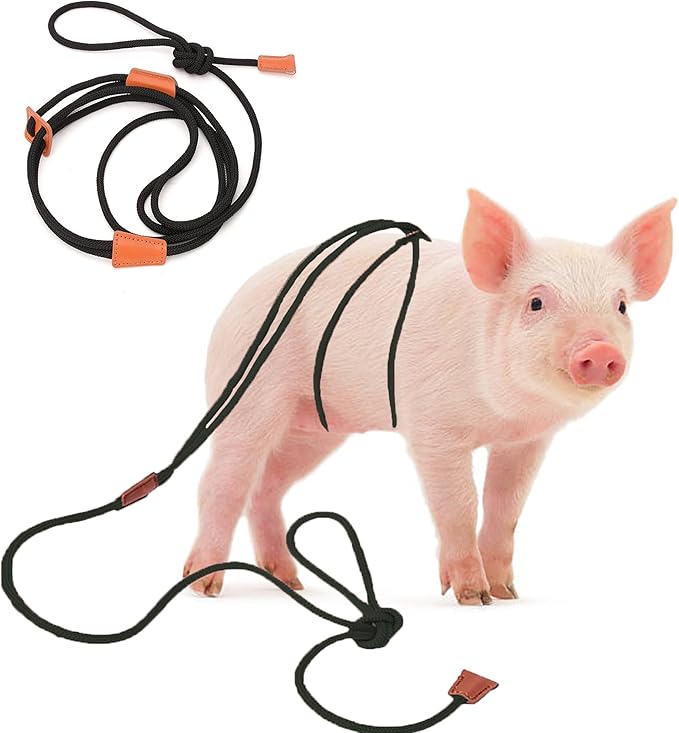 Meow&Woof Pig Harness & Leash, Escape Prevention Adjustable Rope, All in One Design, All Life Stages Small to Medium Mini Pigs-5 Feet Long-Black