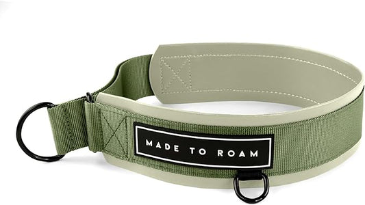 MADE TO ROAM Premium Everyday Dog Collar - Martingale Style No Pull Vegan Leather Collar, Heavy Duty and Lightweight for Small, Medium, Large Dogs (Washington Rain, Size 6)