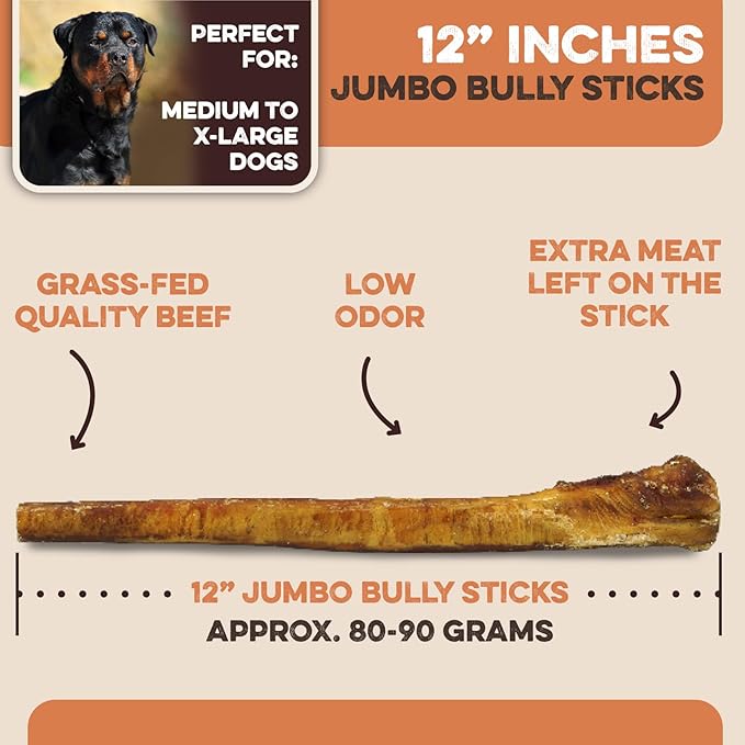 BRUTUS & BARNABY Jumbo Bully Sticks for Large Dogs - (3-Pack) No Hormones Added and Grain Free, Low Odor Bullie, Large, Thick, 12" Bully Bones for Dogs or Puppies