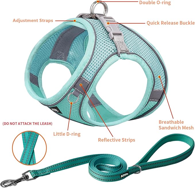 AIITLE Step in Dog Harness and Leash Set - Spring No Pull Escape Proof Vest Harnesses with Soft Mesh and Reflective Bands, Adjustable Pet Outdoor Harnesses for Small and Medium Dogs Pure Turquoise M