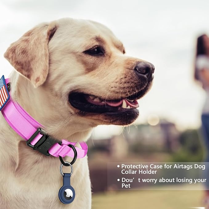 DAGANXI Tactical Dog Collar, Adjustable Military Training Nylon Dog Collar with Control Handle and Heavy Metal Buckle for Medium and Large Dogs, with Patches and Airtags Case (L, Pink-Set)