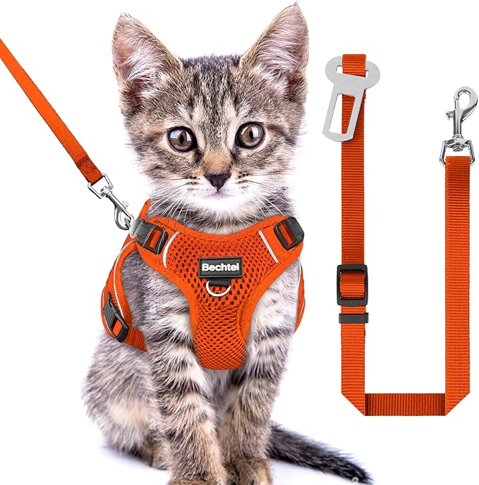 Kitten Harness and Leash Seat, The Upgrade Can be Adjusted in Four Directions and Breathable Cat Harness for Anti Escape That can be Fitted and Positioned, Reflective Strips Harness, Orange, XXS