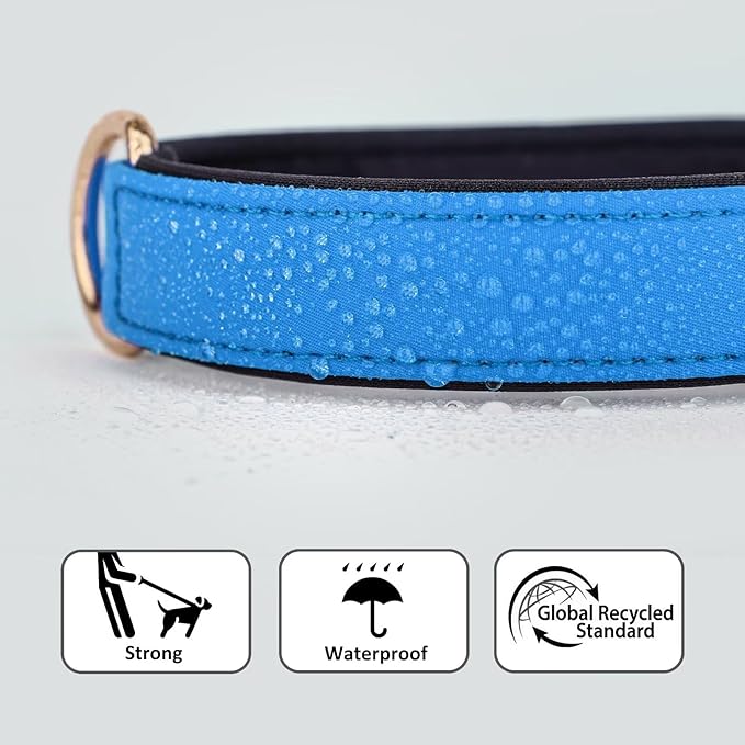 Didog Soft Padded Dog Collars for Medium Dogs, Lightweight and Breathable Dog Collar Waterproof with Metal Buckle, Blue, L